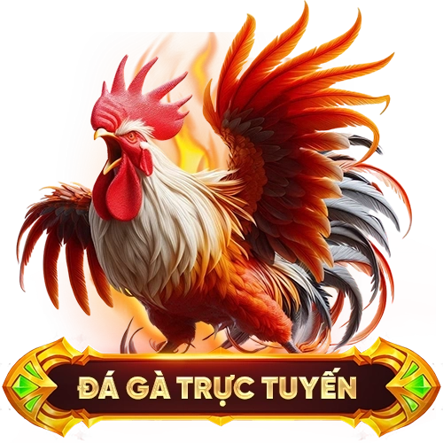 đá gà trực tuyến 88NN